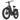 Dual Motor Step-2000W-Thru Electric Bike