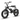 DK200 Moped Dtyle Ebike